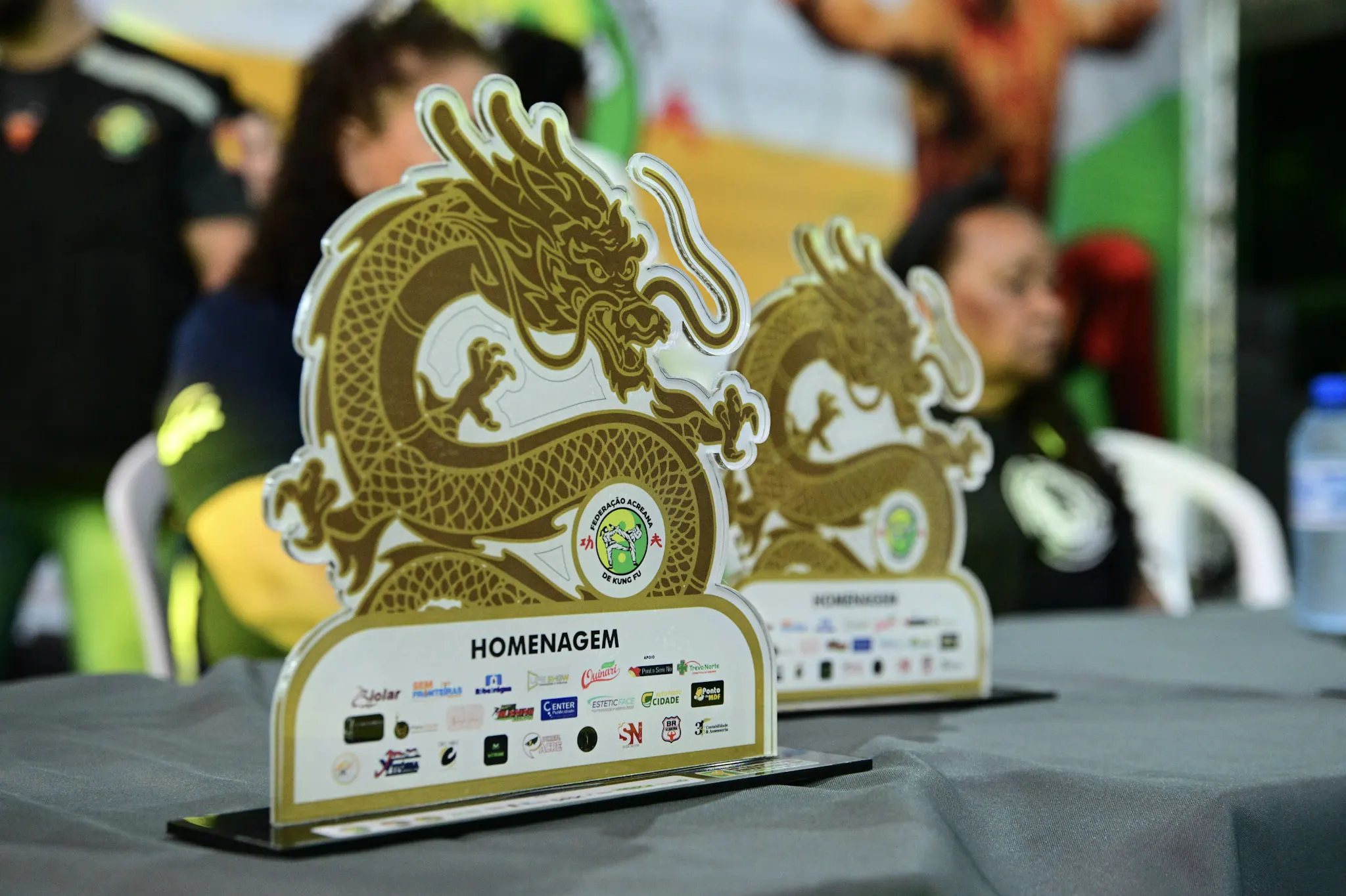 Bebidas Quinarí apoia o 20º Campeonato Estadual de Kung Fu Wushu